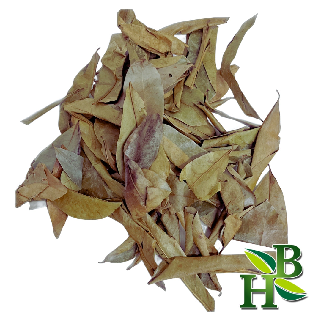 Soursop Leaf 14 Grams