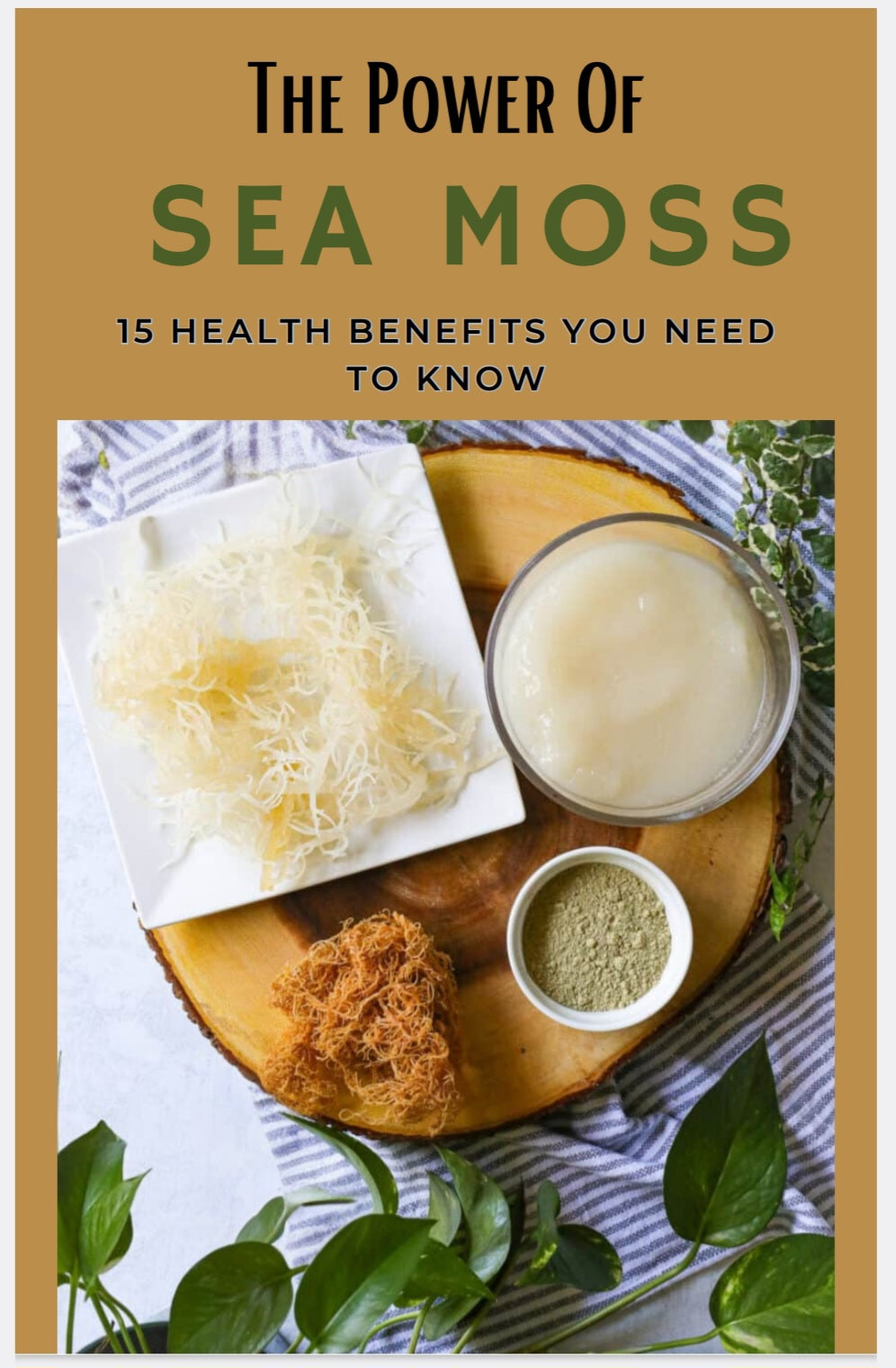 The Power Of Sea Moss- 15 Benefits Of Sea Moss You Need To Know (e-book)